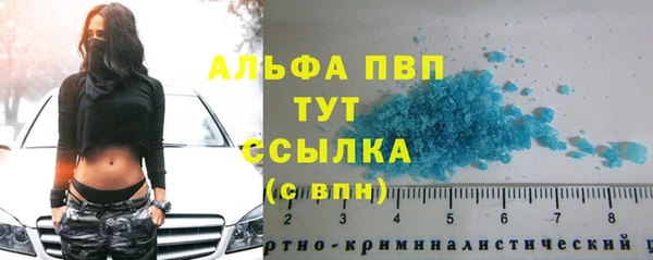 прущий лед Абаза