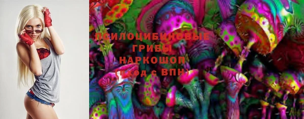 прущий лед Абаза
