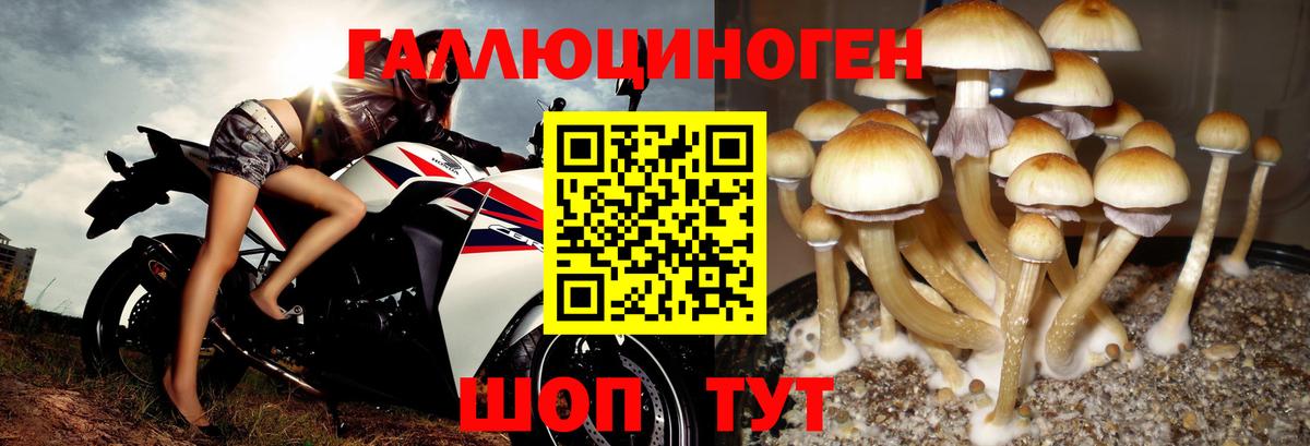 Кумертау  Псилоцибиновые грибы Cubensis  Вход с VPN  Галлюциногенные грибы ЛСД 